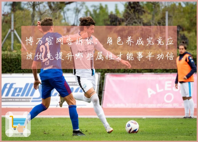 博万官网告诉你：角色养成究竟应该优先提升哪些属性才能事半功倍