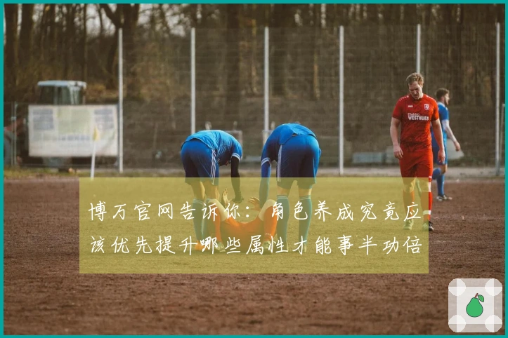 博万官网告诉你：角色养成究竟应该优先提升哪些属性才能事半功倍