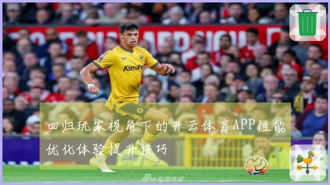 回归玩家视角下的开云体育APP性能优化体验提升技巧